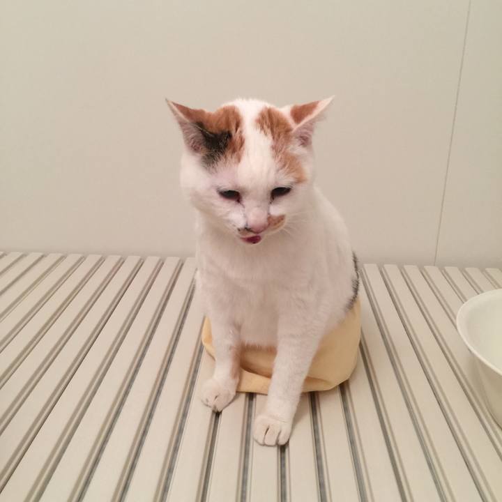 752ece57 8faa 4d57 8450 6c175a81b2b3 1508228220216