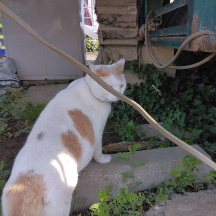 752f17bc 5733 4826 8878 6082a8455169 1680253025998