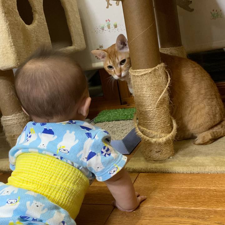 752f3a70 1348 40ba a554 90b9f61f34d9 1563111954930