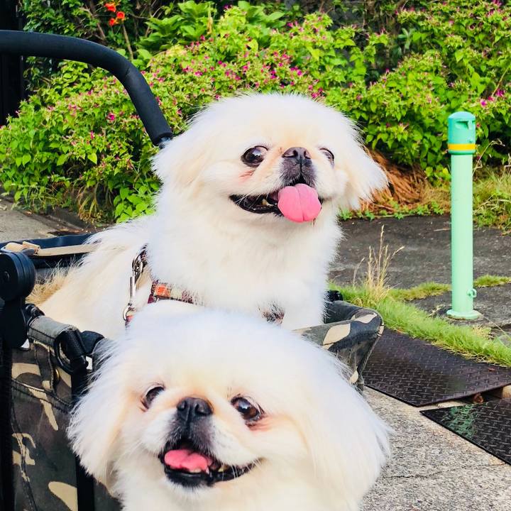 752f3dc1 b787 4492 8494 61ef7e30d1bd 1598656805665