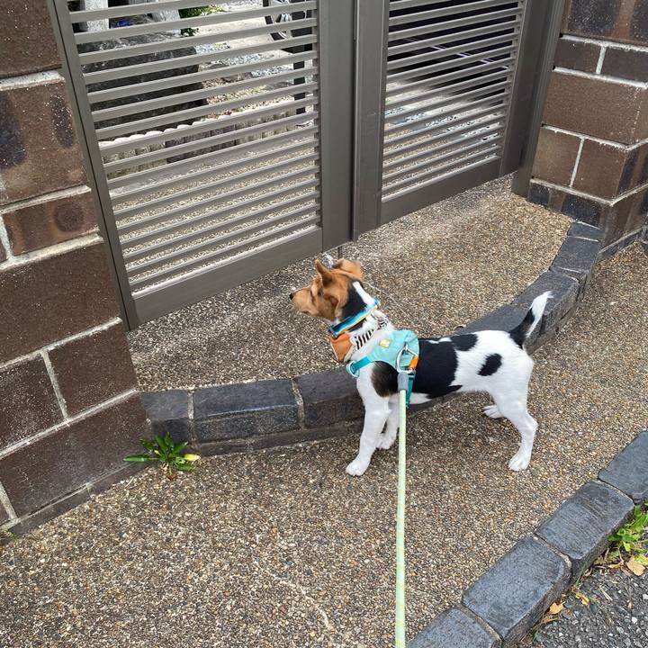 752f4f12 9418 45ee b5d7 09358870c502 1750637206094