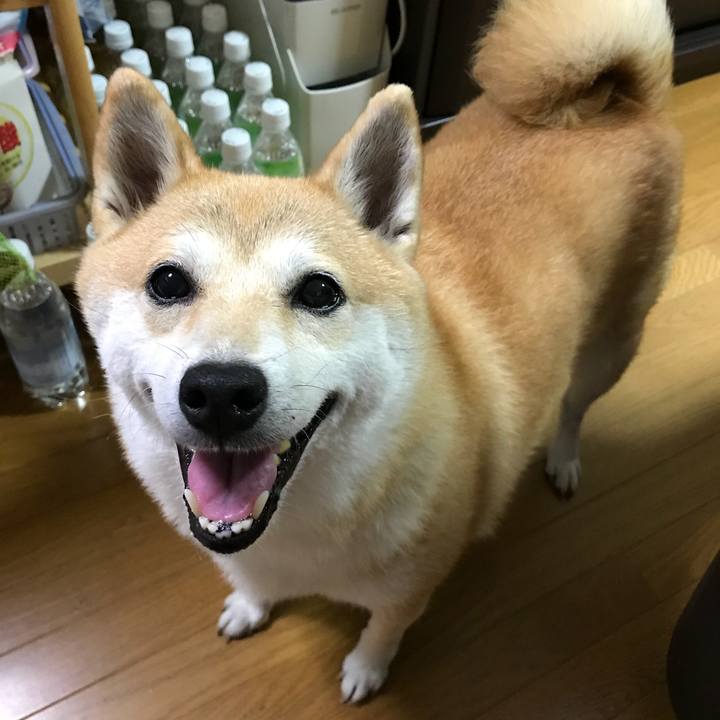 752f5ff7 e915 4a99 a7bf 606dcbed7e66 1534834869496