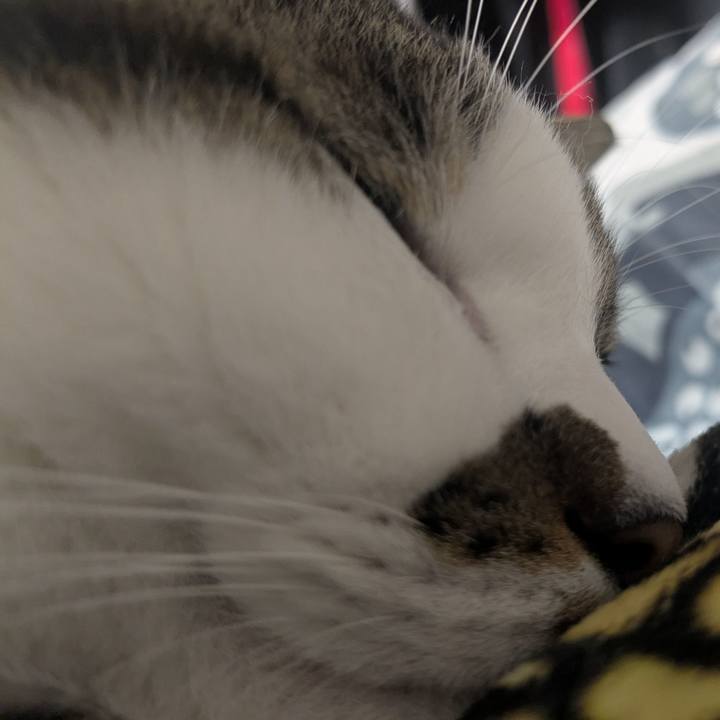 752f6f5c 3a7a 490e 98fe df1eb9d3462c 1761881050155