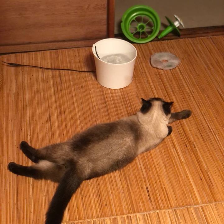 752f842a 5bf4 47b1 813f f6f4a1bddff6 1629978883934