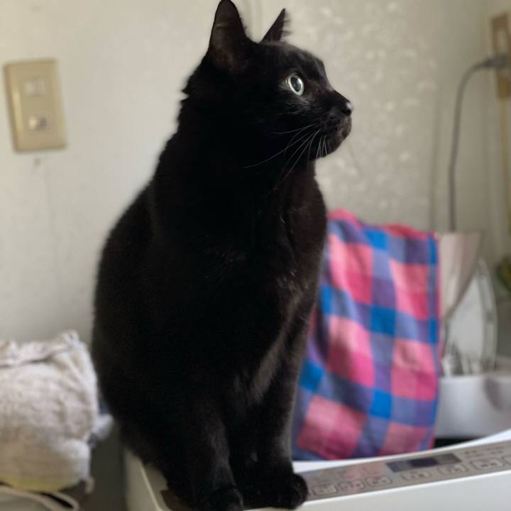 752f90fa b6ee 468b a333 5437a0dc2800 1636767632435