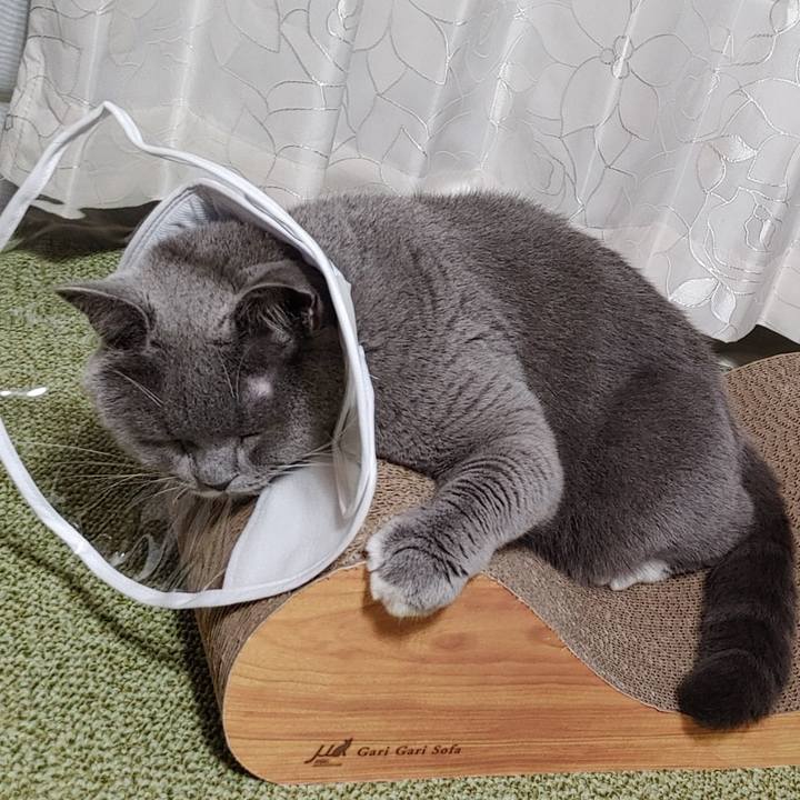 752fc0ee bb66 443e 99df eef4d57e4afe 1630706340834