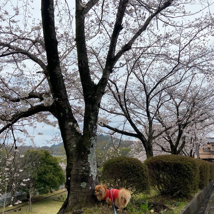 753015ec 3e1b 4d31 9b07 808c860d8056 1616891278458