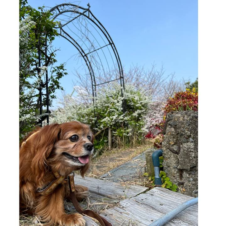 75302828 a897 43af a85b 7d0a6a74f301 1774917108683