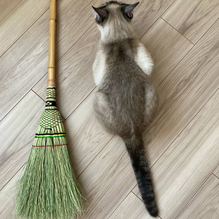 75303e4a ec20 4242 a6b2 dc59f31d3c64 1714868653235