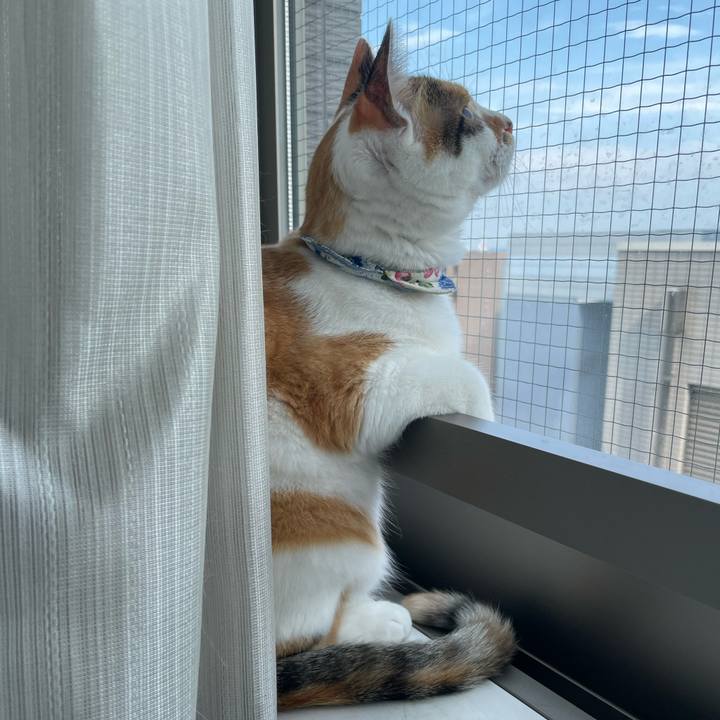 75305674 01ea 42bd 8df3 f100c7a7cc0f 1721791890589