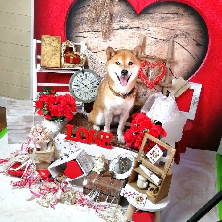 7530621c f7cb 42ec bbfc 39e1cb50f054 1675746148887