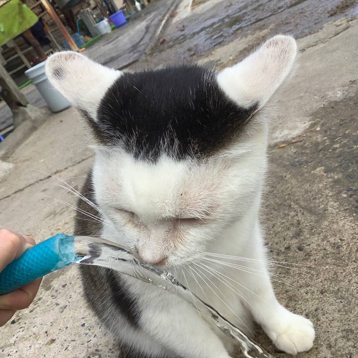 75306ecb b5f5 43e3 9c9f c02cd8f5fe7b 1602421181104