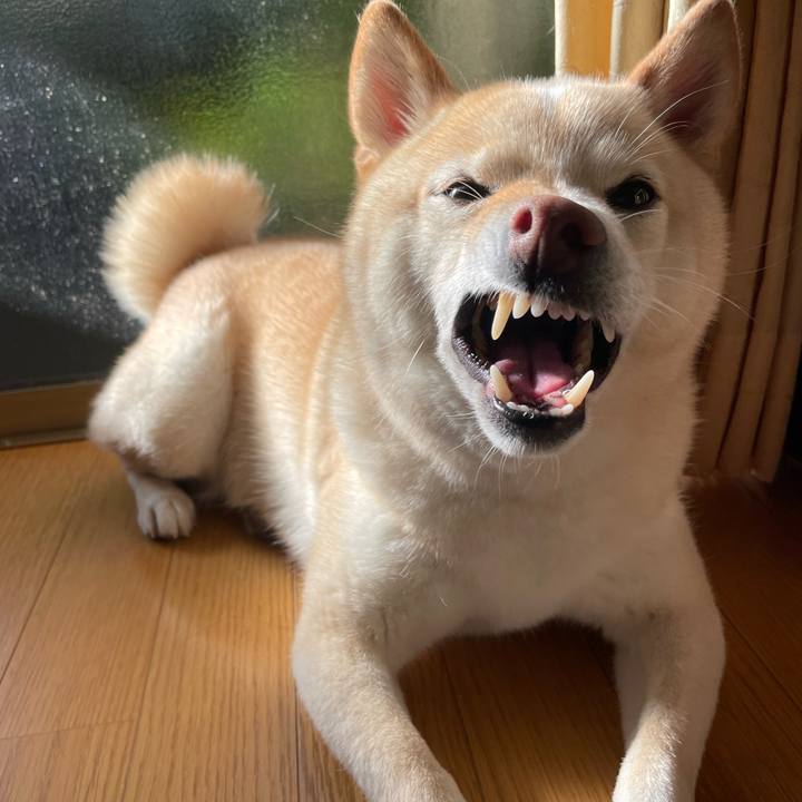 7530adb4 237e 47e9 90ae 9d718e3bdbab 1693865512150