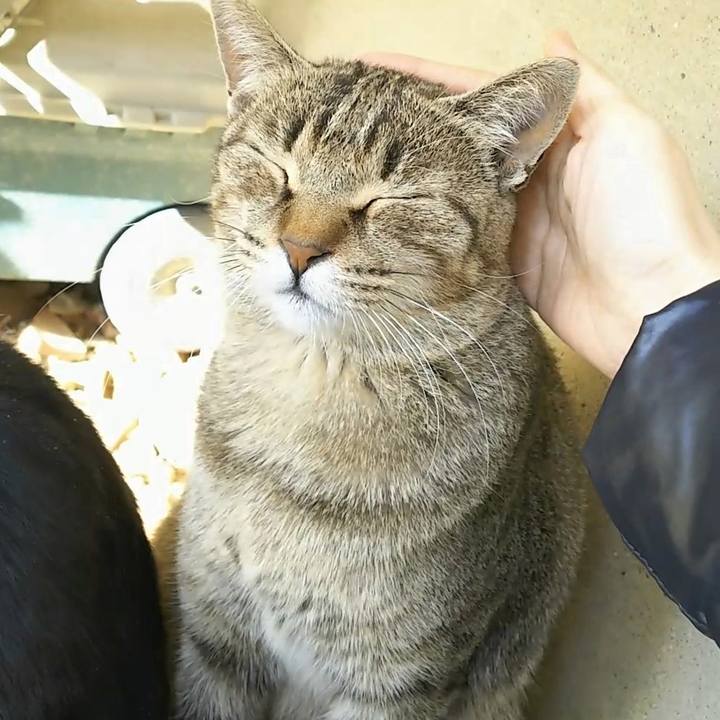 7530ae51 de4d 404e aa2f d223fbb1a52e 1546314639407