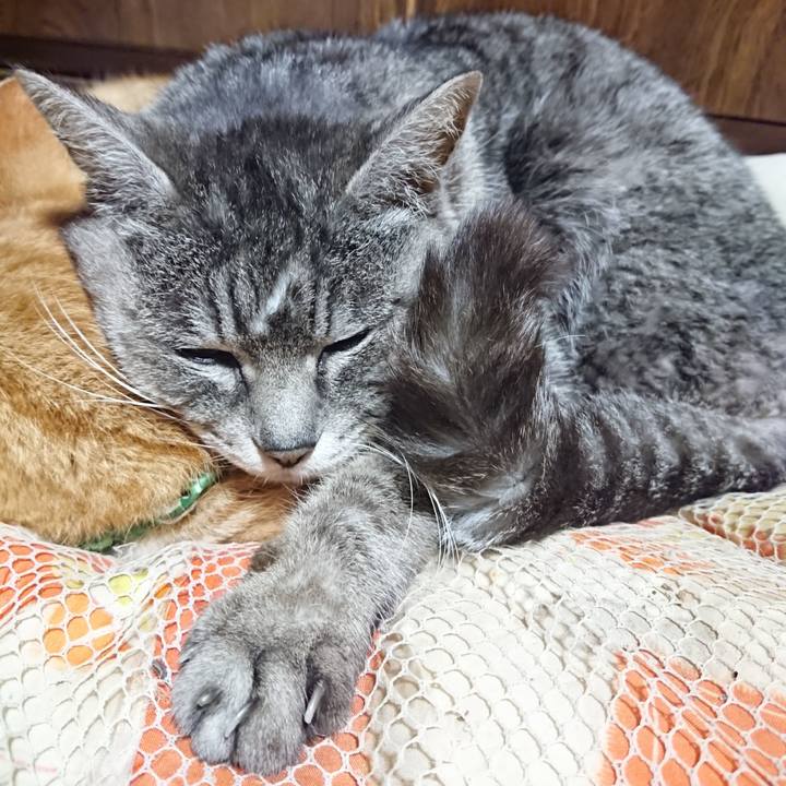 7530c39b 82e9 49ad b1d2 16372c26eb9f 1581607924895