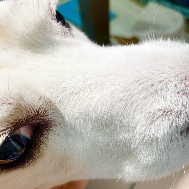 7530f88c 1623 409d 8b1b d281ec93304b 1663301048715