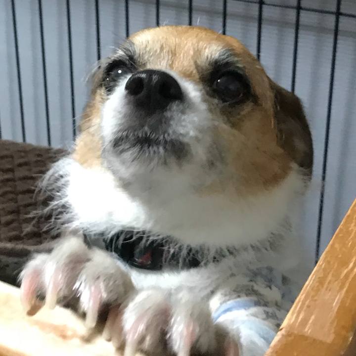 7531012d e442 403e 88e9 272deb26cee4 1524348751026