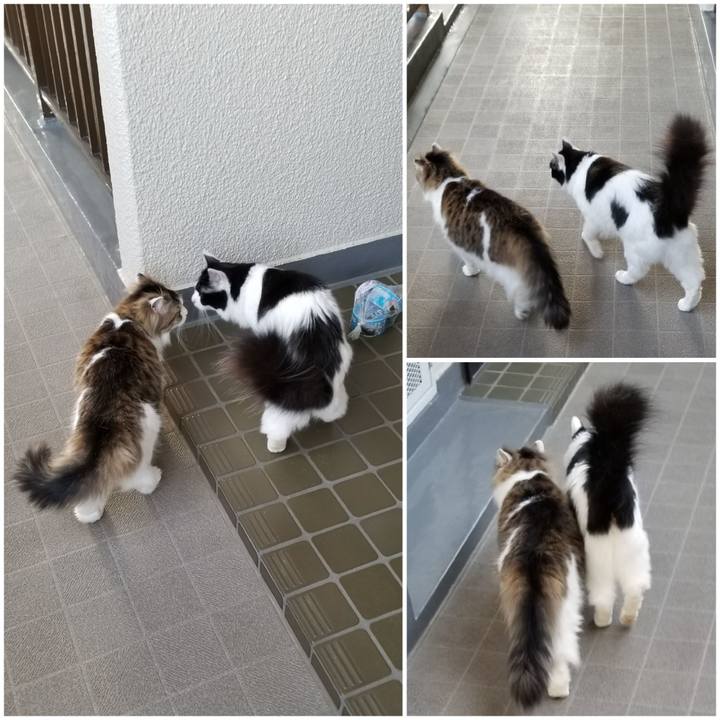 75312af9 f773 4457 8a4b 566329248f15 1588206771292