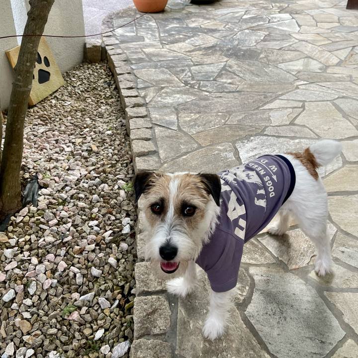 75314f7d b1da 413a bcc5 2ffd62bc59db 1653472467126