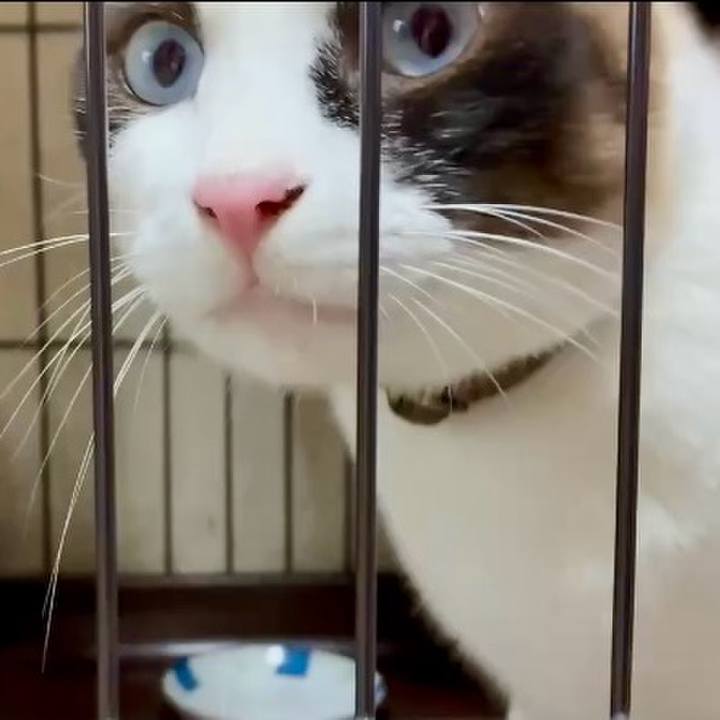 75315589 8e6d 4417 8678 1adbdb1ec546 1752918196188