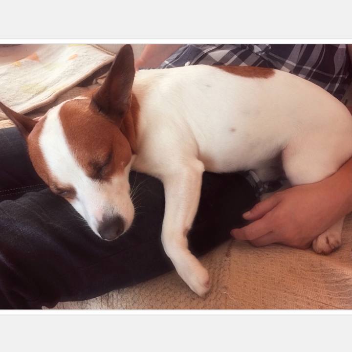 753164b1 5de1 4b47 990e 289e588c3cf1 1529633089630