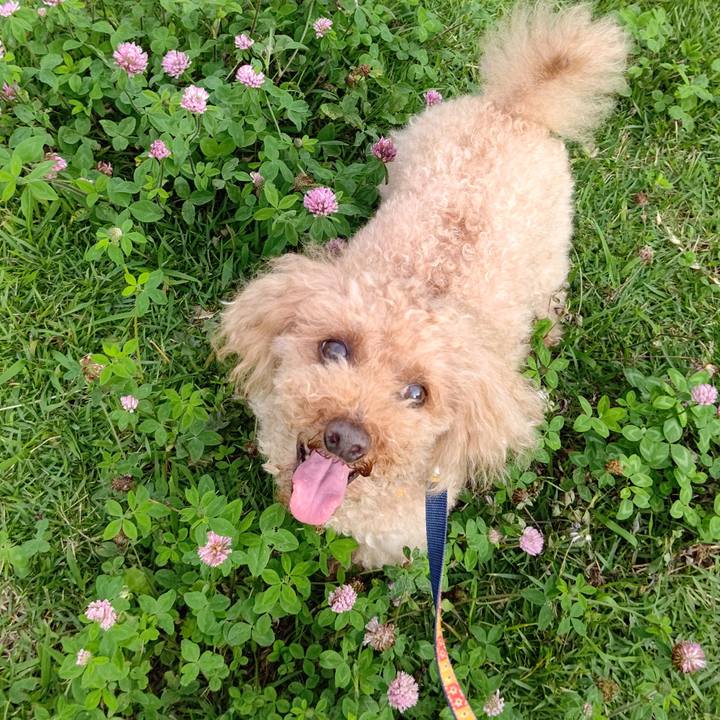 75317356 b0d4 481f 829c 364a5ea2b787 1625707005271