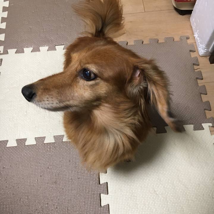 75317dd8 f1c3 42a5 a855 8a3fc51d9497 1576850127734