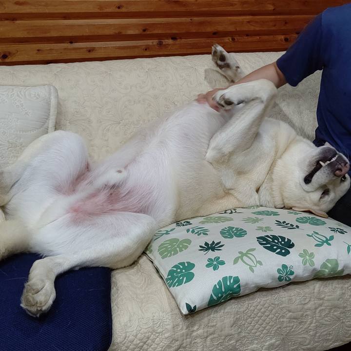 75317e9a a9e6 474c 9af8 3817a3bf3817 1626259986744