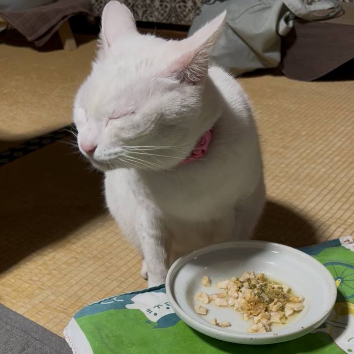 75317ff0 65ae 4ec1 ae29 cded6125407f 1765974244065