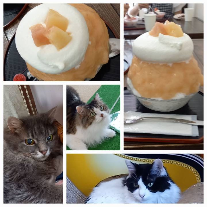 75319fc1 15a1 4595 9d7a 3d1e12e1d4f8 1692884919668