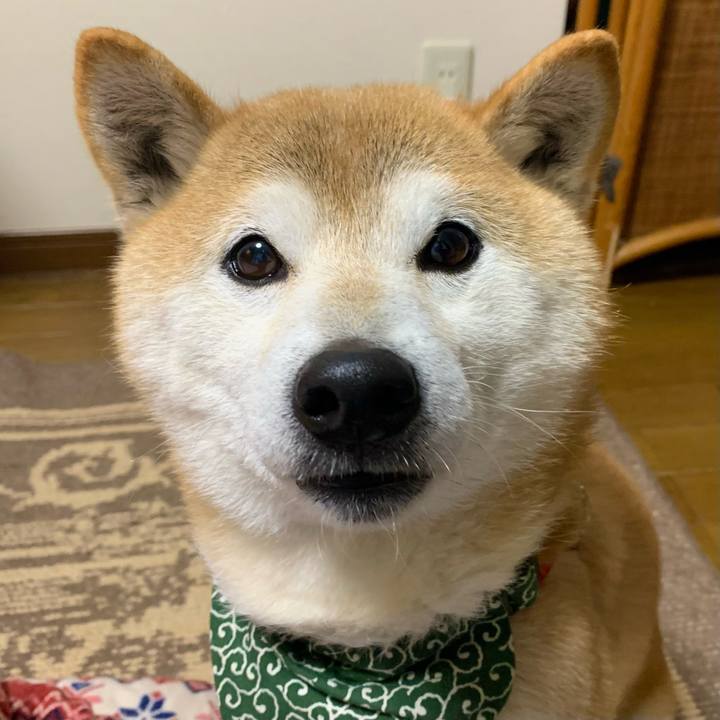 7531a256 cb69 40c8 8c4e 84d444bee07b 1645787287591