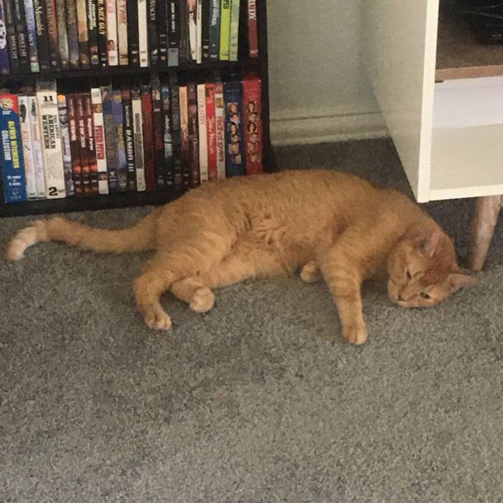 7531ac2d f1ce 4440 a303 4b68b50f8b22 1662684297811