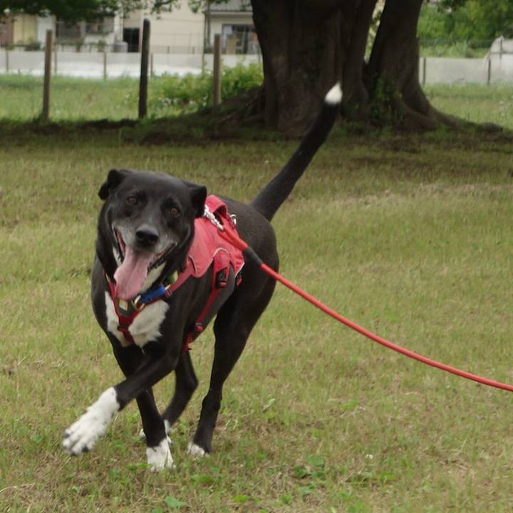 7531acb7 1147 4685 b287 ff57cdf06a4e 1684456791481