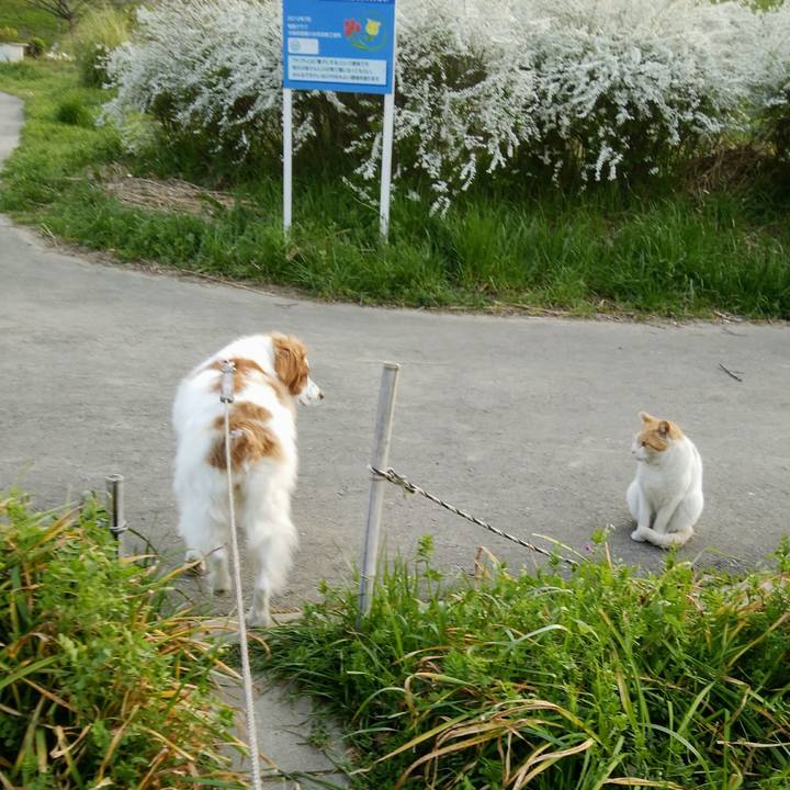 7531bba0 64c8 4ad4 bced bcbe32dd4432 1553857058910