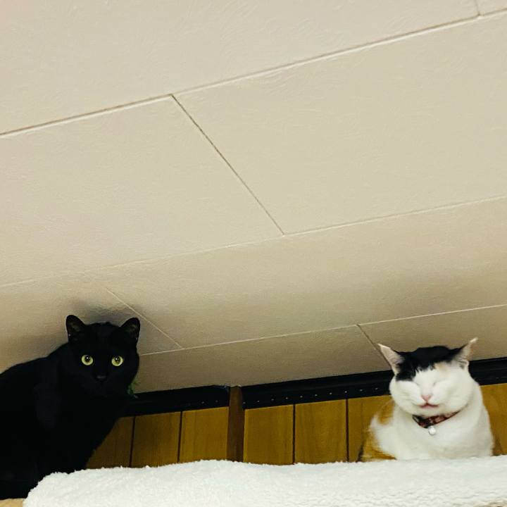 7531bc6b 4fef 43e7 a1d9 e16fd49c11a1 1670624001313