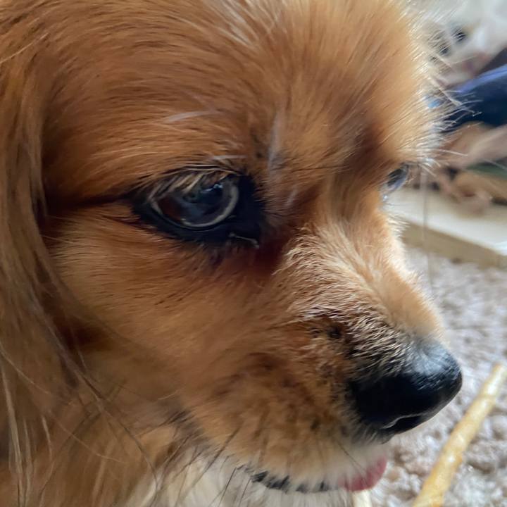 7531c01f 55a1 4f49 80e1 3f7031b59c77 1652132934025