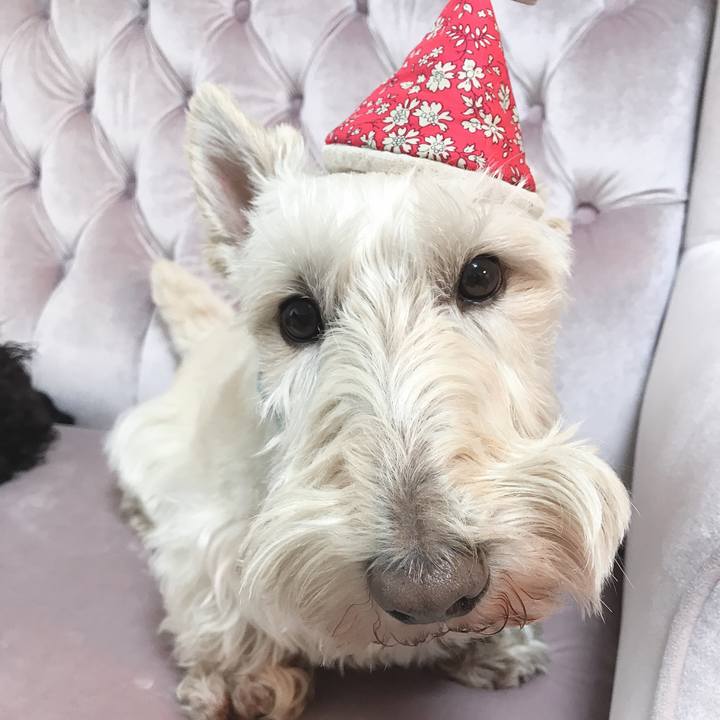 753218ad 4406 4940 9a1b 4e0235ab71e6 1556594851162