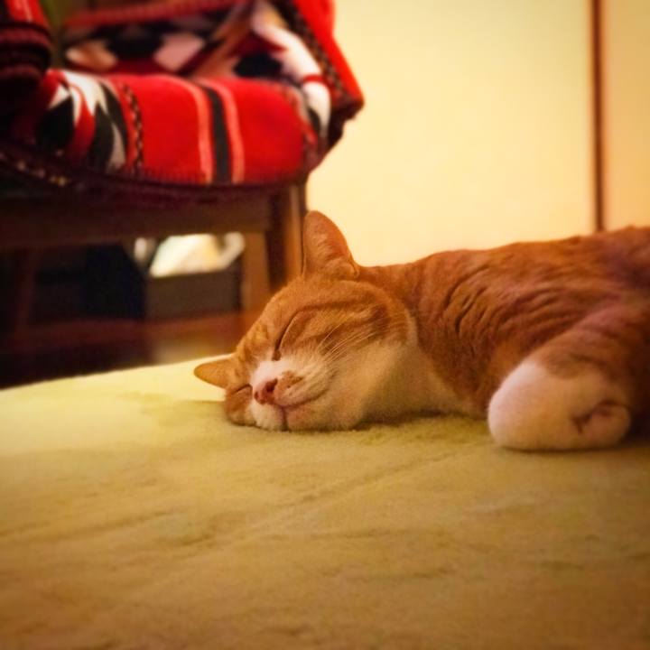 75323281 1898 4525 b158 9f14306cd71b 1541863451916