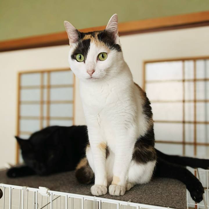 75324c63 561f 48fb 8bc2 5d54801619c0 1597284463366