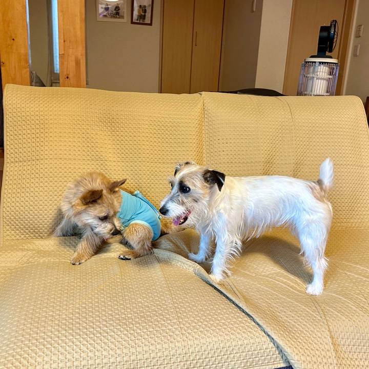 7532532f b5ac 42c0 9d9f fce18eb73609 1711435581753