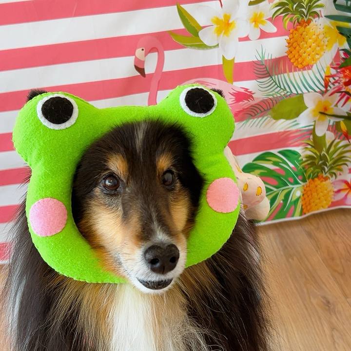 7532753c f873 4d2b a782 e990ae617f1e 1715289067555