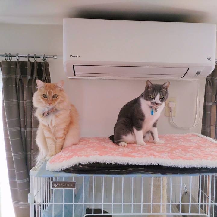 75328da9 aabf 4733 a79b c2f2a2c8fca9 1702043637965