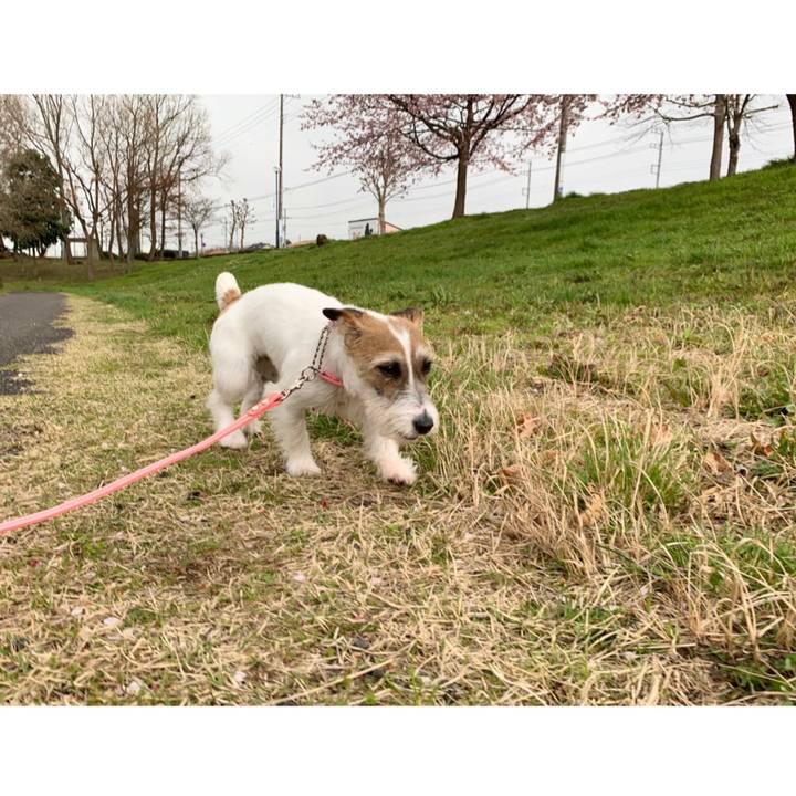 7532a5f6 c73c 4122 bf69 6b4793539077 1584684848024