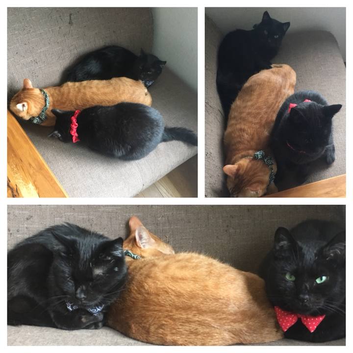 7532b7a5 c222 4420 aca7 8fbd6f37209e 1537597329712