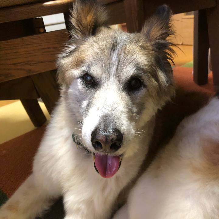 7532c298 71ea 4d71 8f4f d28cb9465d0d 1536192053111