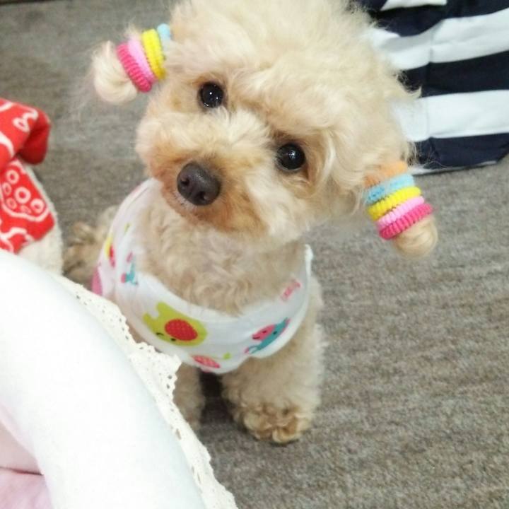 7532c721 aa43 4a1a 849a dcbd8f86cd20 1530701751281