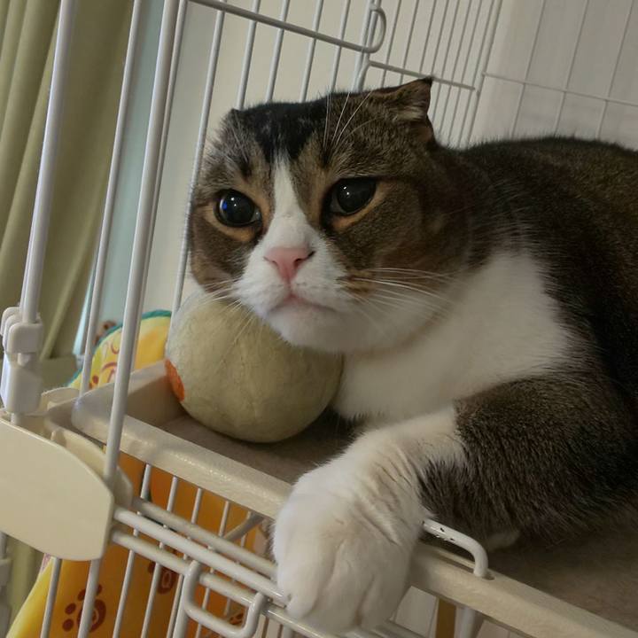 7532e3cd cab5 4fbf b80c 5dfad69b53b6 1580165839231