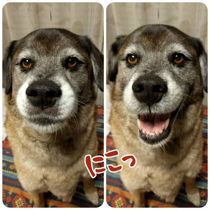 7532f8e5 88a6 4eed 881b f32c5753a0bf 1720570942617