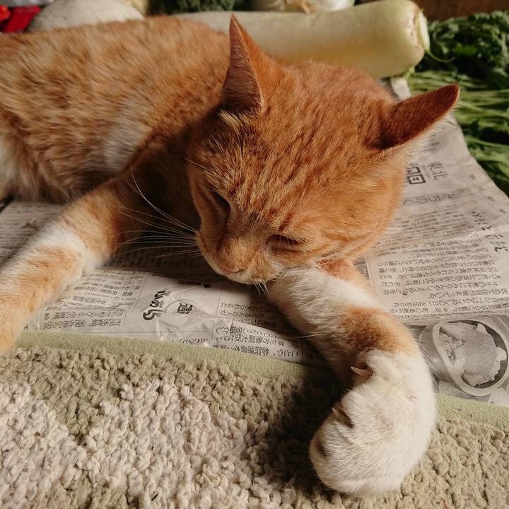 75332589 9c43 480f 888e 6836e41df884 1572848022962