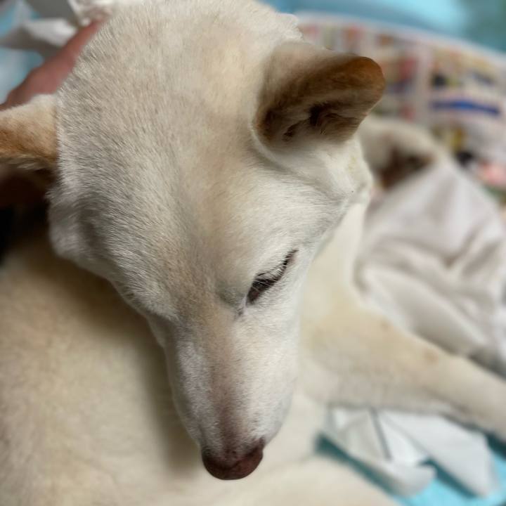 75332b2c 78cb 4009 9ac3 239063c8af8a 1651924802008